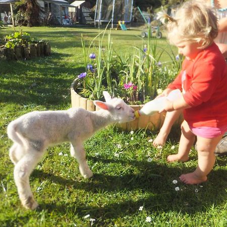 غرايموث Little Paradise & Petting Farm المظهر الخارجي الصورة