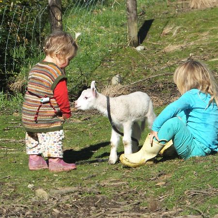 غرايموث Little Paradise & Petting Farm المظهر الخارجي الصورة