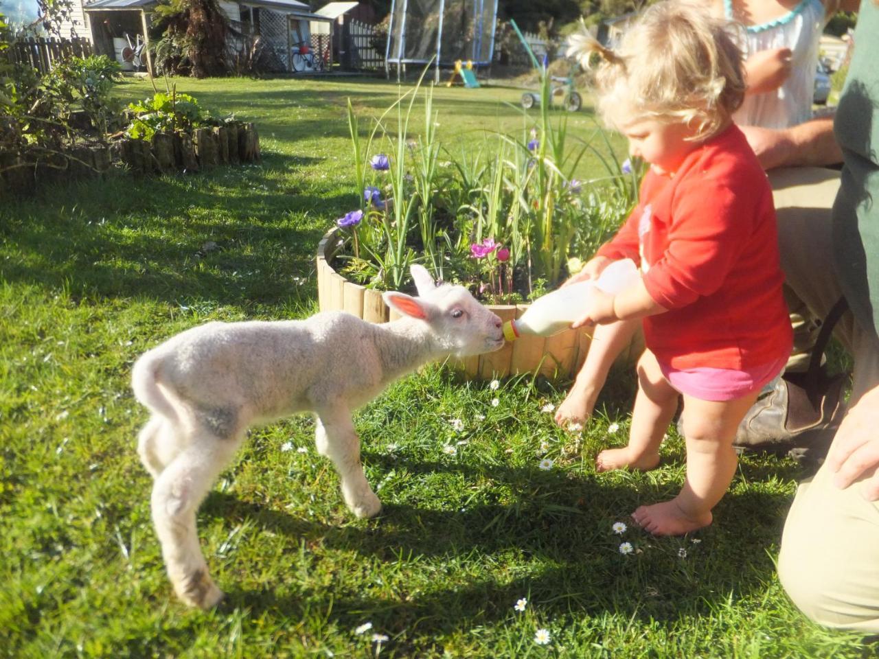 غرايموث Little Paradise & Petting Farm المظهر الخارجي الصورة