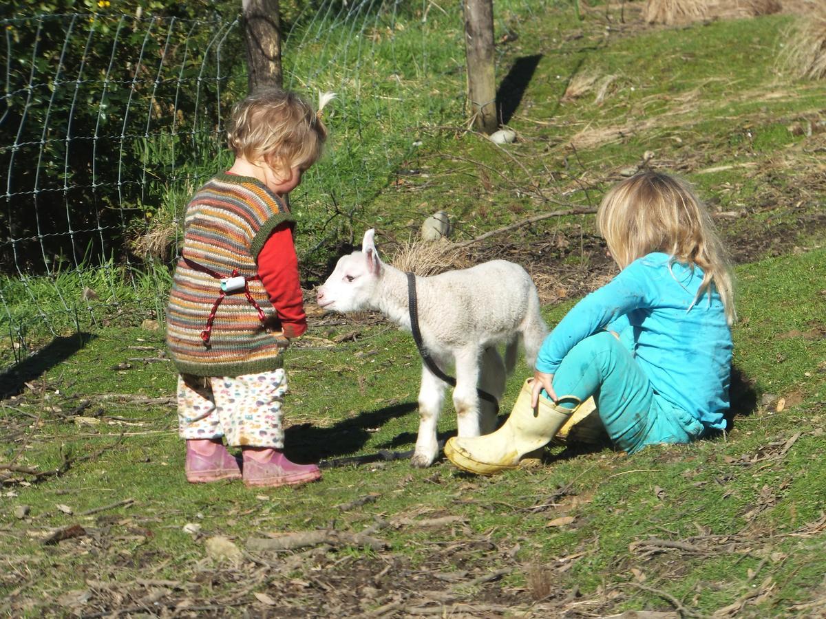 غرايموث Little Paradise & Petting Farm المظهر الخارجي الصورة